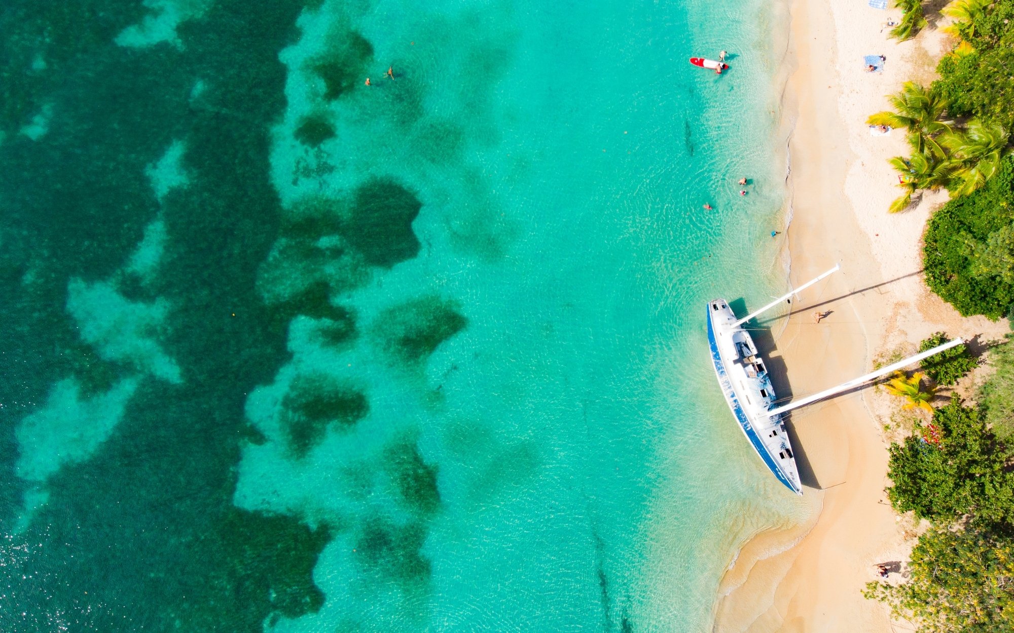Plage Martinique palmiers